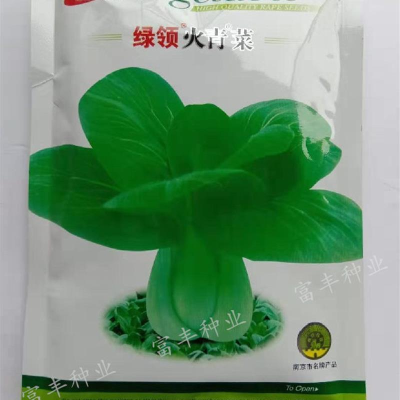 绿领火青菜种子耐热耐湿青梗菜种籽抗热上海青油菜有机蔬菜种子图片