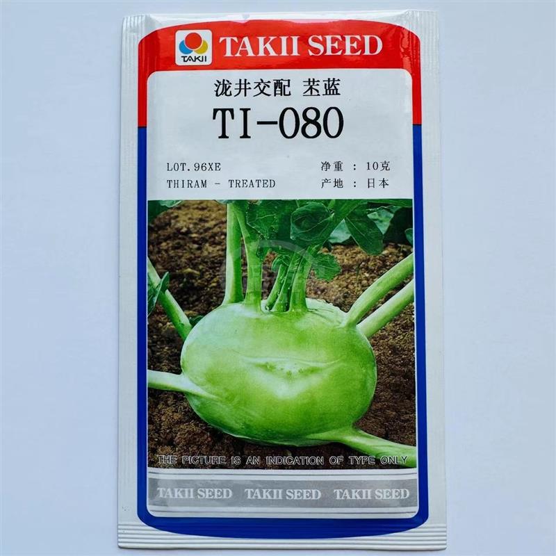 TI-080进口苤蓝种子蔬菜口感甜脆高产抗病耐糠商品性佳农家春秋播