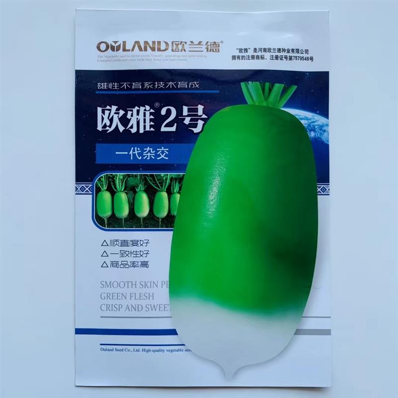 欧雅2号青萝卜种子 优质高产脆嫩爽口微辣一致性好商品性佳夏秋播