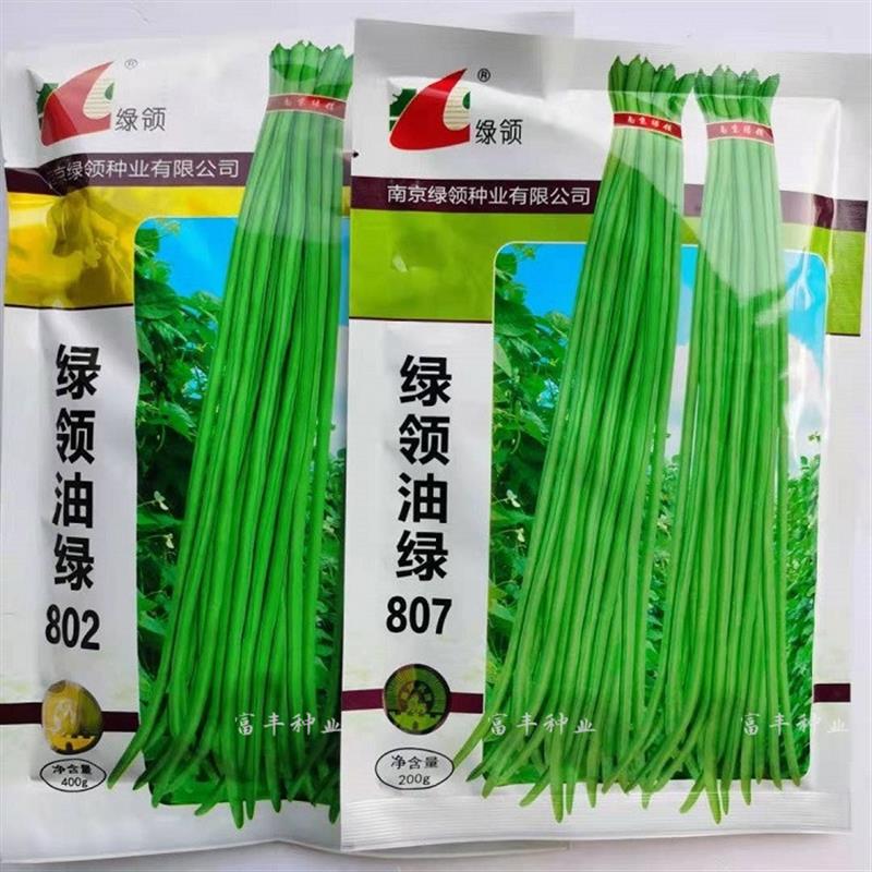 油绿802豇豆种子油绿807架豆角种子特长豆角种籽早熟春季蔬菜种孑