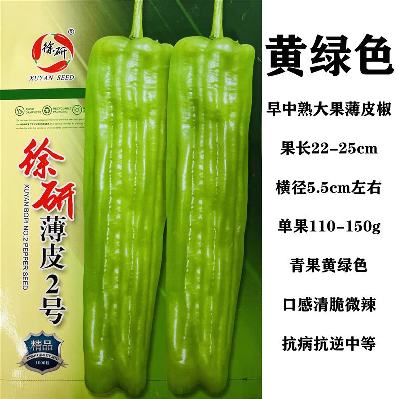 黄绿皮薄皮椒种子大果高产春秋播种薄皮微辣薄皮大椒蔬菜种子包邮