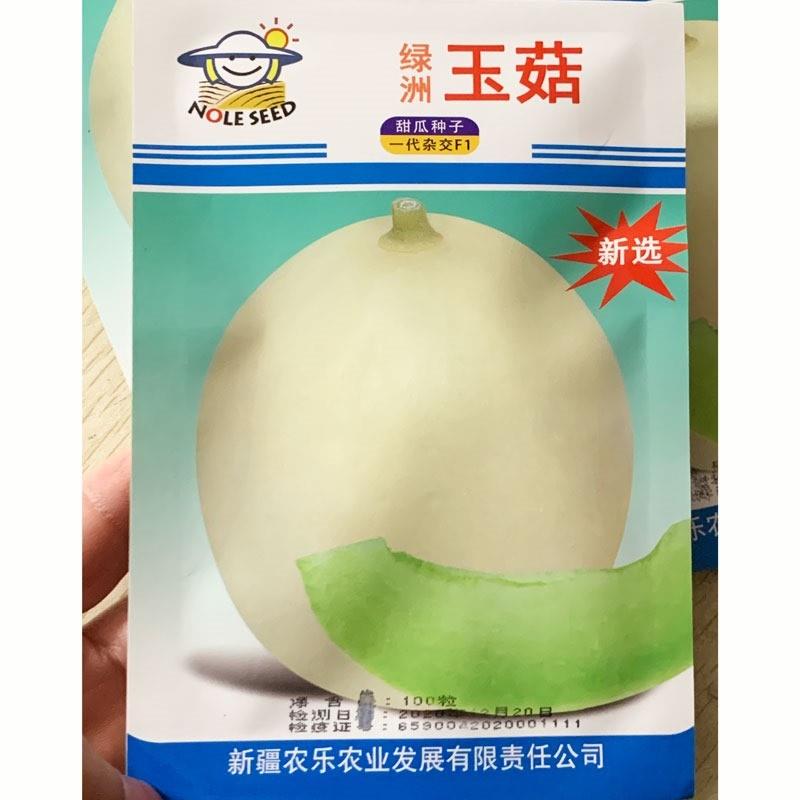 绿洲玉菇甜瓜香瓜种籽高产春秋播大田绿肉海南绿菇甜瓜种子包邮