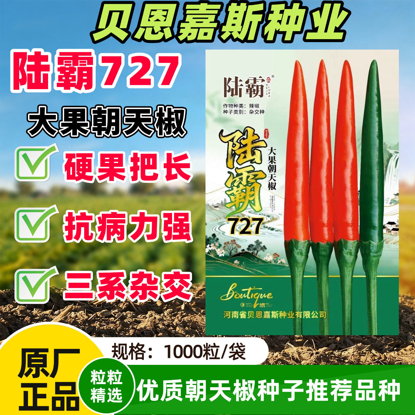 陆霸727朝天椒种子特大果