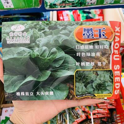 晓富墨玉青菜种子大头青梗菜种籽绿油亮耐热速生苏州青油菜白菜籽