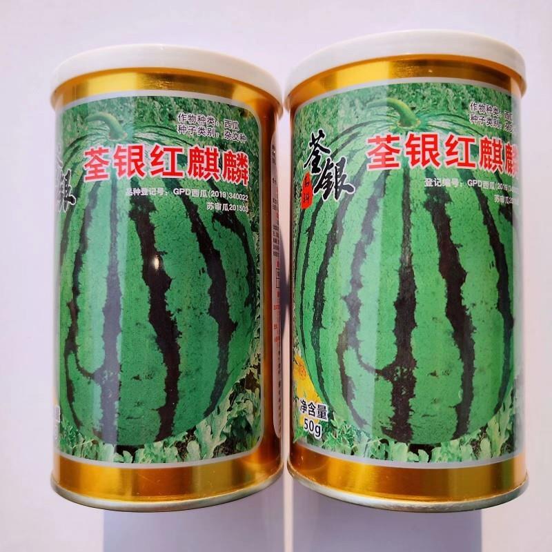 荃银麒麟西瓜种子籽圆形早熟多汁脆甜抗病高产春季夏季秋露地栽培