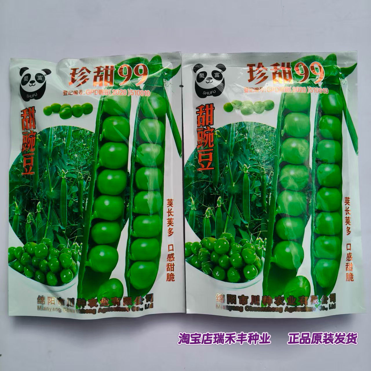 珍甜99豌豆种子甜脆长势