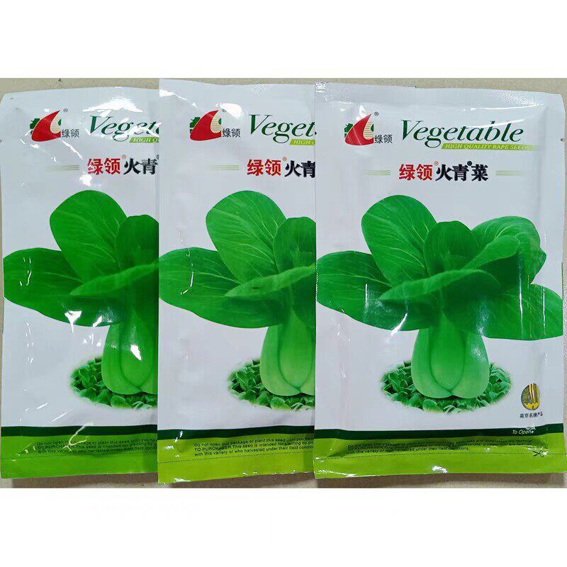 绿领火青菜种子矮脚束腰