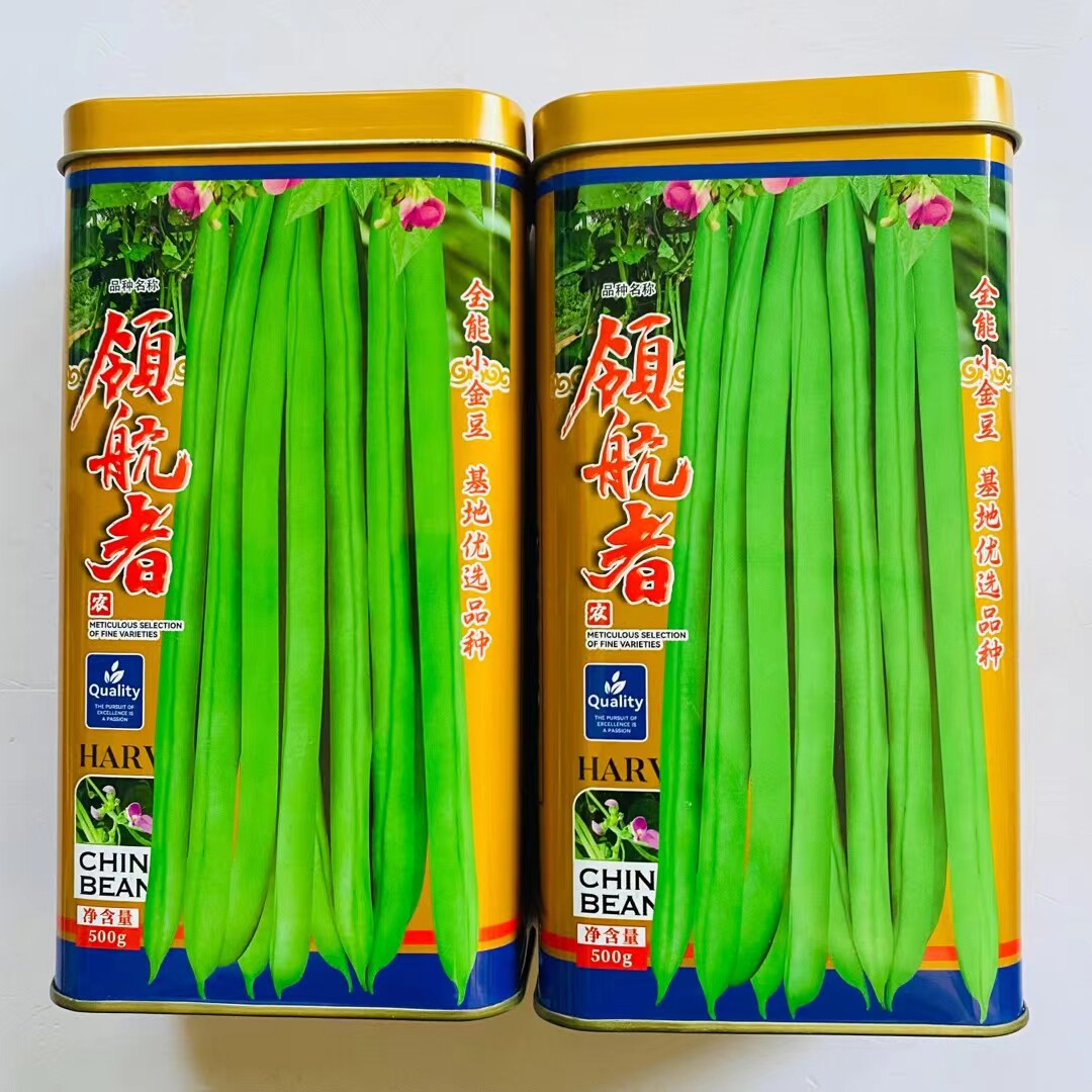 优选全能小金豆种子 抗寒耐热芸豆四季豆种子 春秋季菜豆种圆形荚