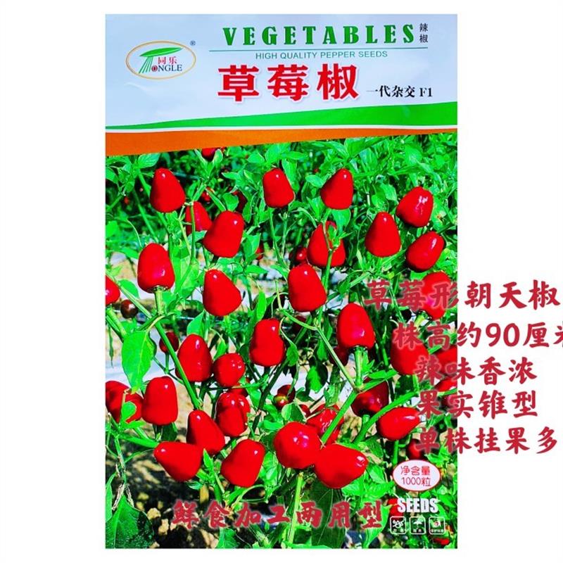 草莓辣椒种子鲜红果圆椒浓辣香辣小辣椒种籽春夏季食用观赏彩椒