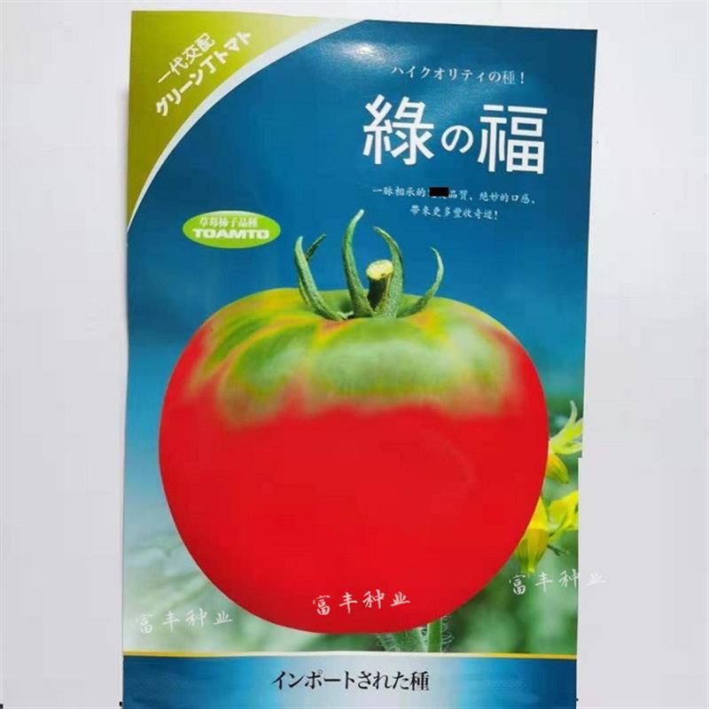 绿肩草莓番茄种子早熟东北铁皮柿子绿腚青肩西红柿种籽蔬菜种孑