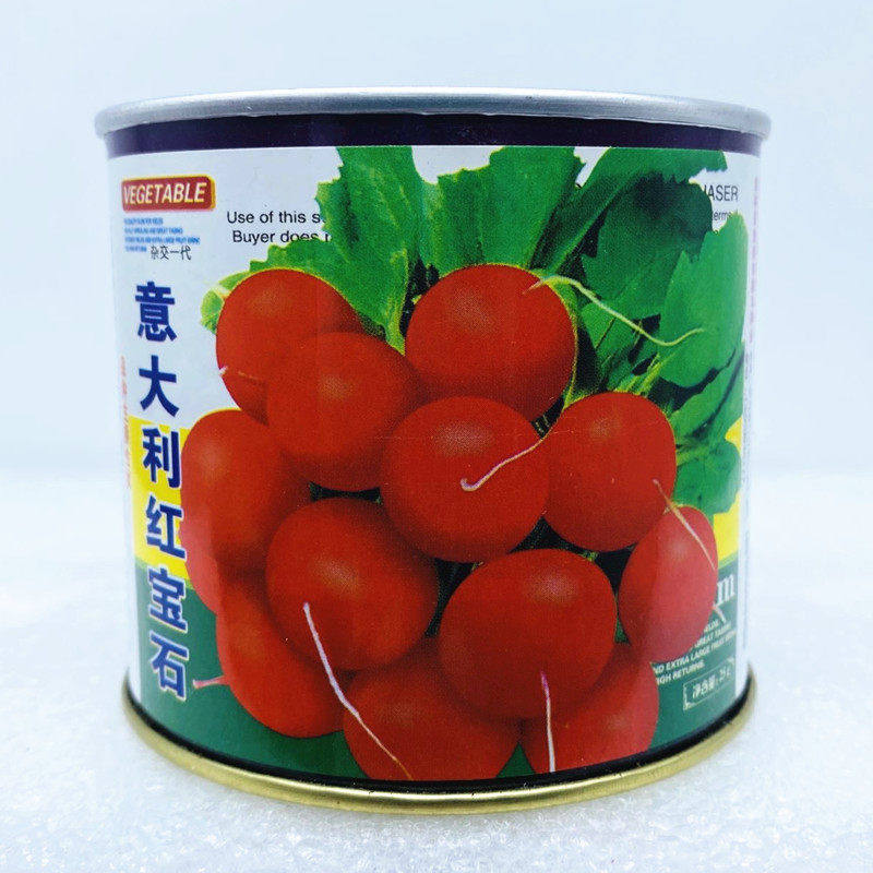 樱桃萝卜种子意大利红宝