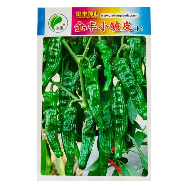 金丰小皱皮辣椒薄皮皱皱辣香辣爽口皮薄籽少辣椒种子基地种植