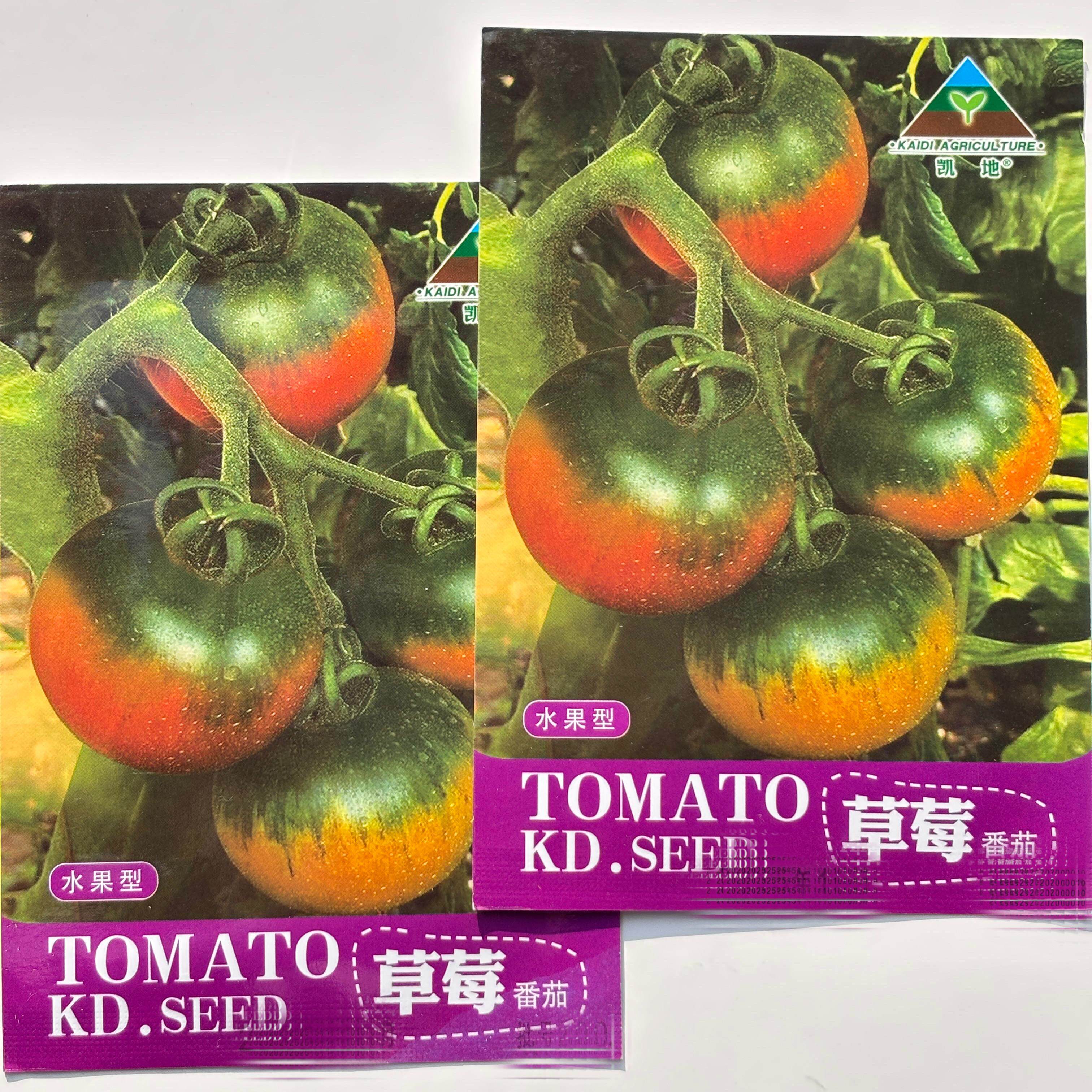 草莓番茄种子超甜苗东北