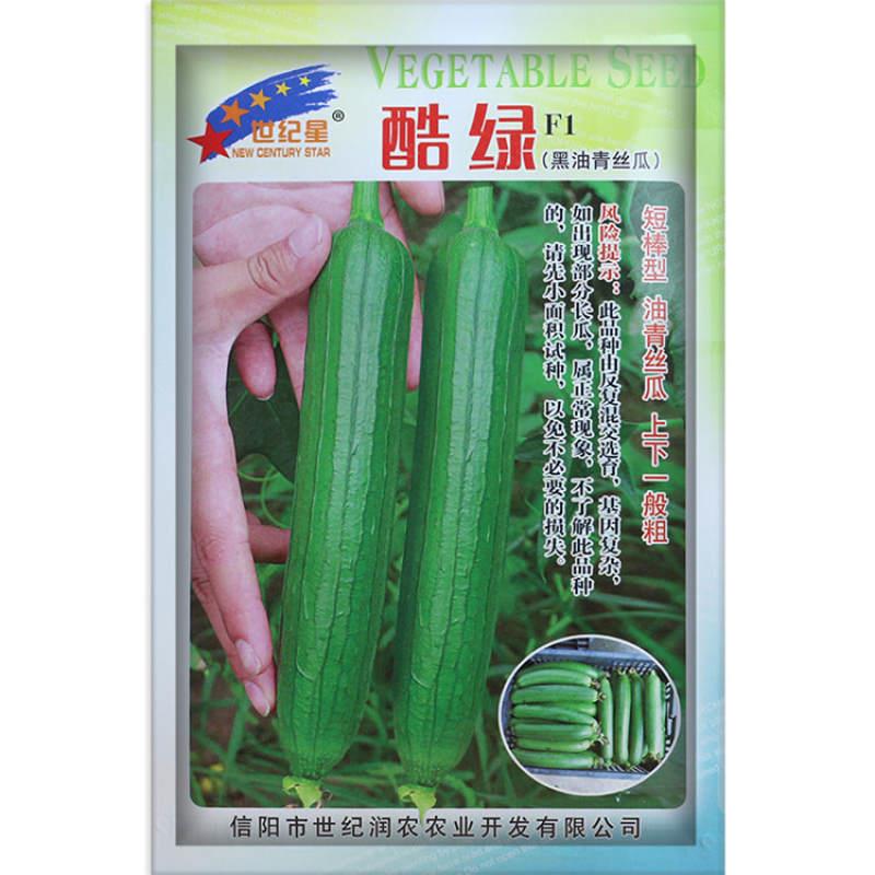 酷绿丝瓜种子世纪星 黑油青丝瓜种子 超短型丝瓜 香丝瓜 包邮