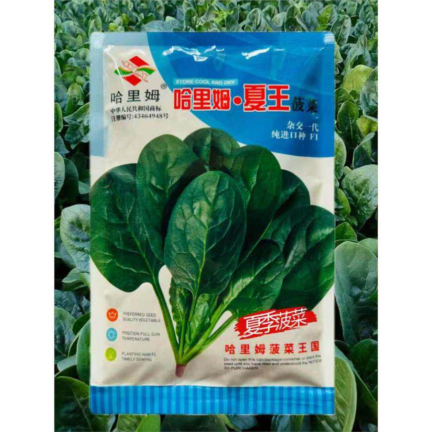 国外进口哈里姆夏王菠菜