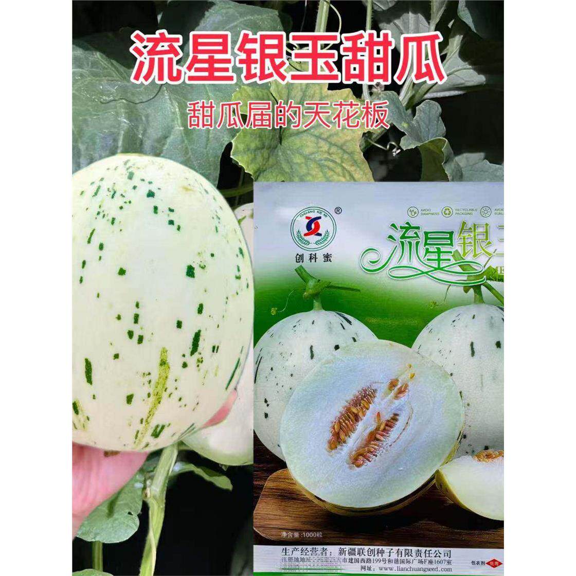 流星银玉甜瓜种子香瓜蜜