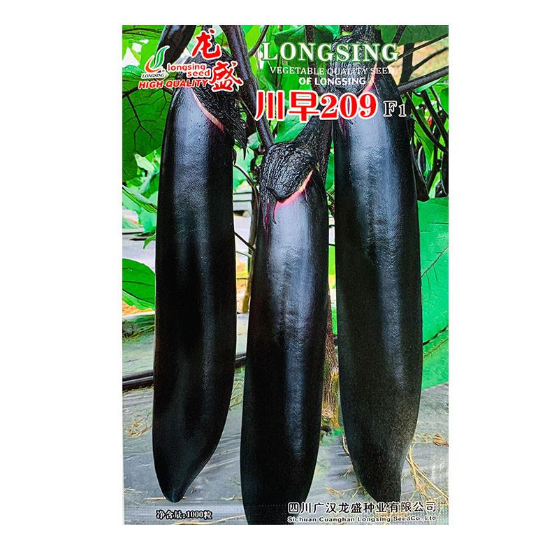 茄子种籽 紫黑长茄种子川早209顺直油亮早熟高产农家春秋四季蔬菜