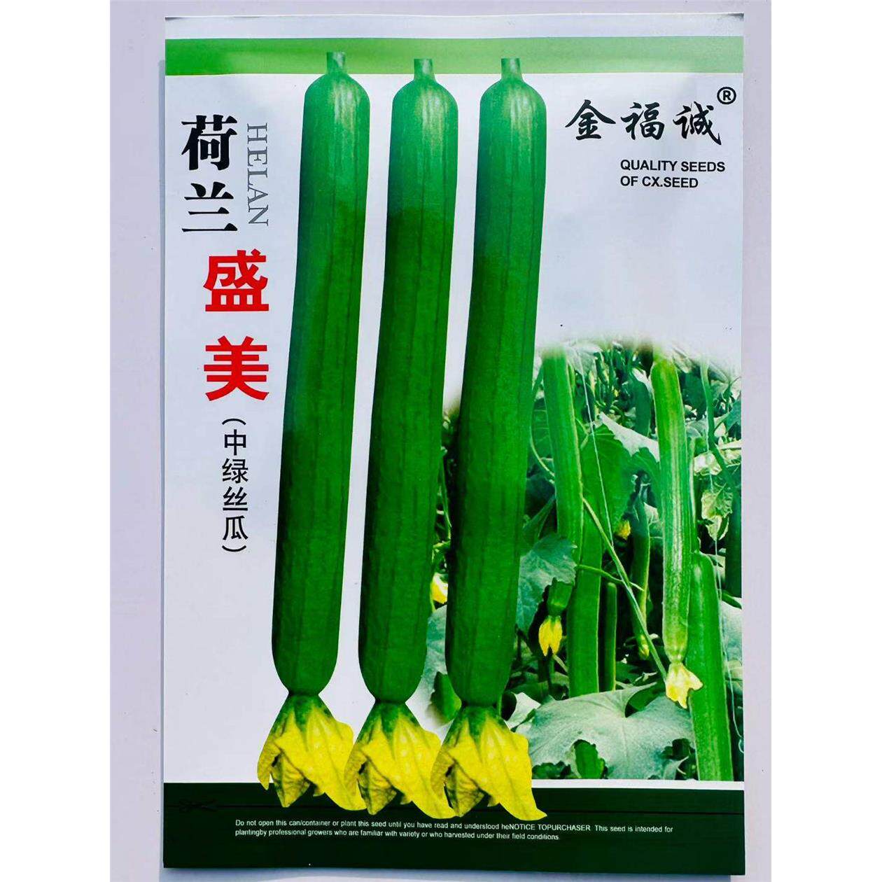 荷兰盛美丝瓜种子中绿油