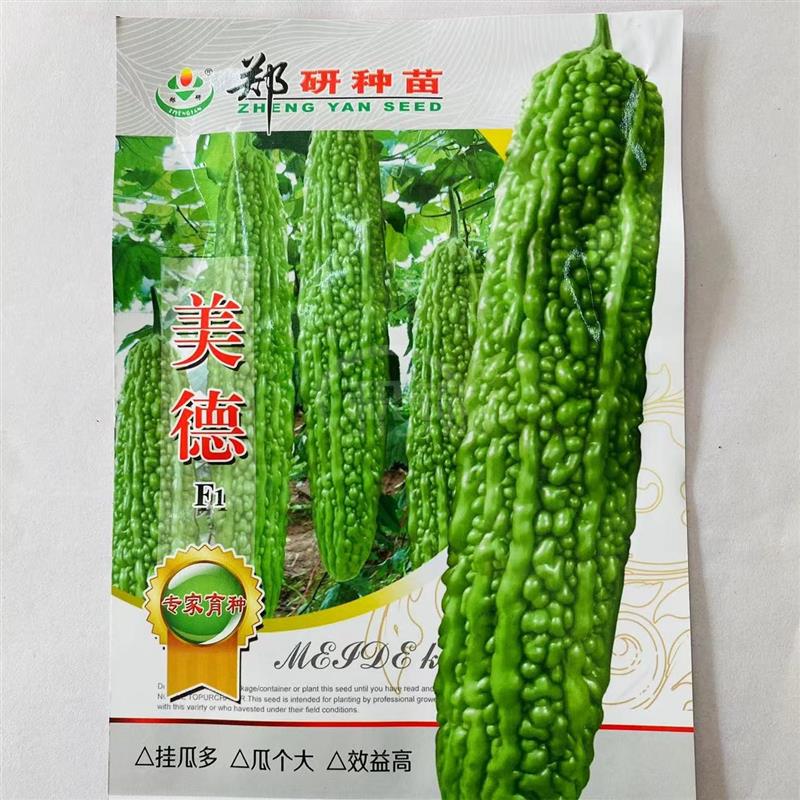 郑研美德苦瓜种子蔬菜翠绿油亮长果高产抗病商品性佳农家春秋播种