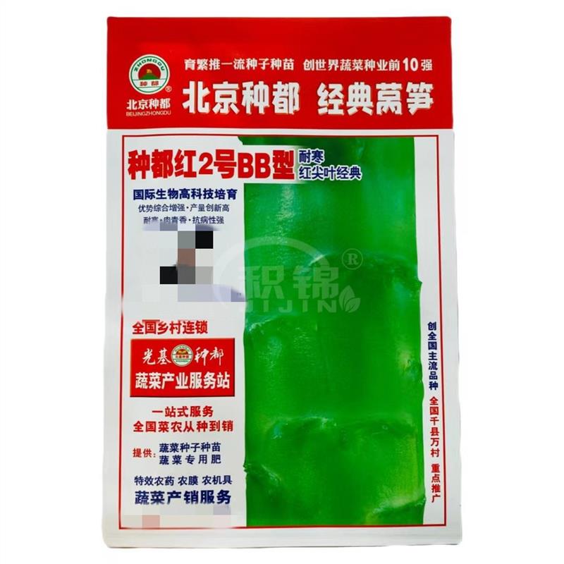 种都红莴笋种子耐寒红尖叶经典香莴笋种籽四季种蔬菜种子莴苣种子