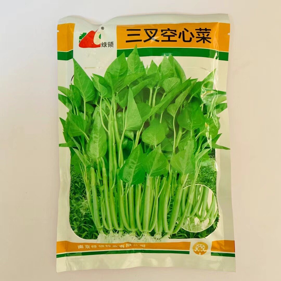 绿领正宗三叉空心菜种子高产耐热耐湿蕹菜通心菜种籽四季种子