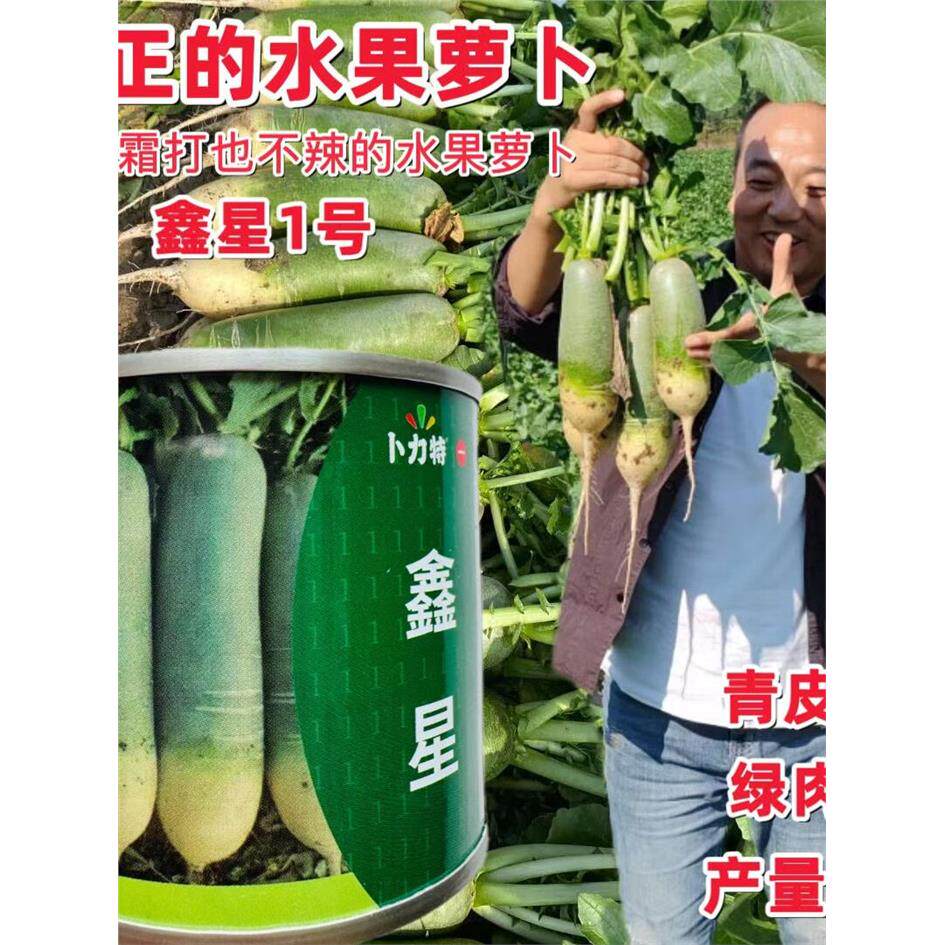 鑫星一号水果青萝卜种子