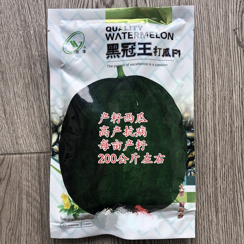 黑冠王打瓜种子大片瓜子瓜产籽西瓜南瓜种籽春夏季四季蔬菜种孑