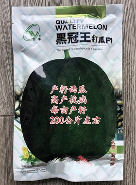 黑冠王打瓜种子大片瓜子瓜产籽西瓜南瓜种籽春夏季四季蔬菜种孑