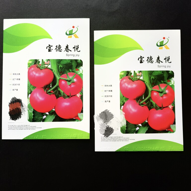 宝德春悦荷兰进口无限生长番茄种子苹果型粉红色有光泽抗寒番茄