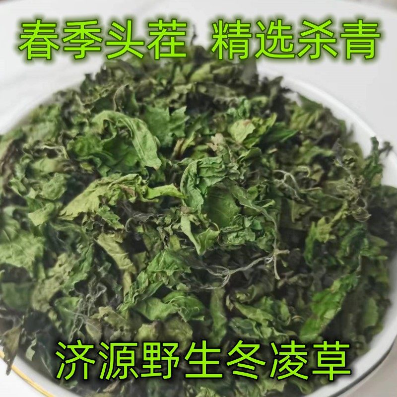 春季头茬野生冬凌草尖杀青茶济源王屋山冬凌草冬凌茶100克
