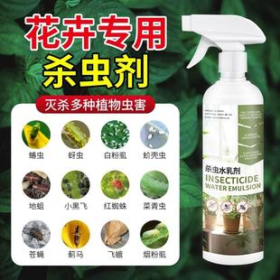 治花盆里小飞虫的药去除克星花生虫用什么药花药家用植物灭杀神器
