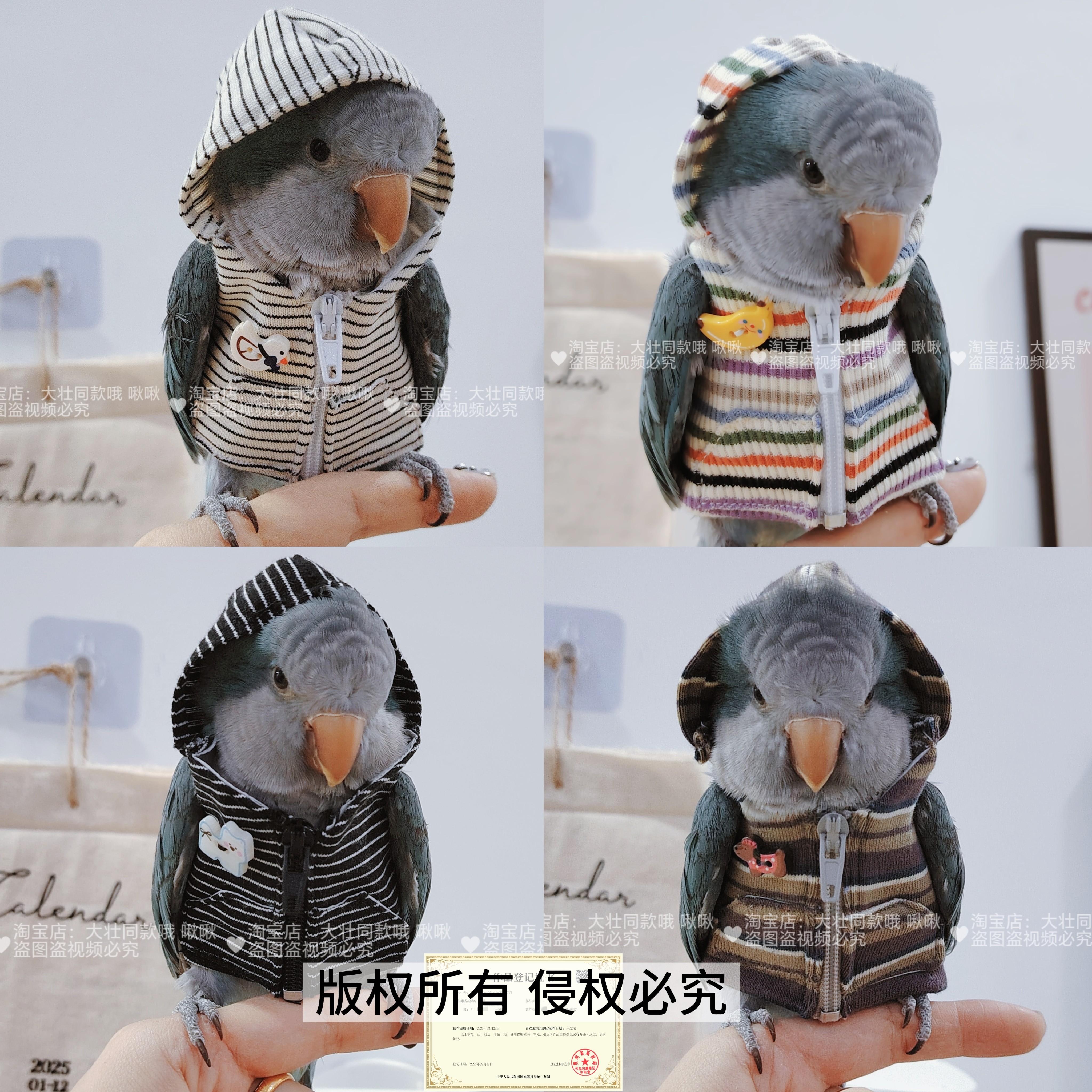 鹦鹉连帽帽衫鸟衣服鹦鹉外套玄凤外出服鹦鹉卫衣马甲鸟用品