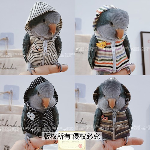 鹦鹉连帽帽衫鸟衣服鹦鹉外套玄凤外出服鹦鹉卫衣马甲鸟用品