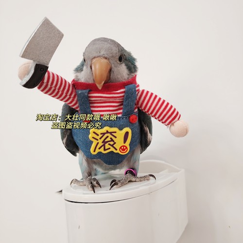 搞怪拿刀款宠物鹦鹉衣服鸟搞怪搞笑恶搞抖音玄凤牡丹衣服变身衣服