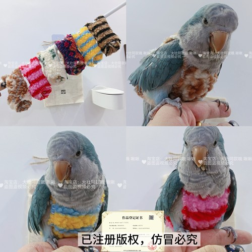 加绒加厚一片式舒适款虎皮牡丹玄凤鹦鹉鸟衣服衣服飞行背带放飞绳