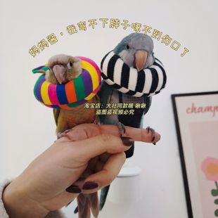 玄凤鹦鹉条纹伊丽莎白圈受伤保护项圈牡丹虎皮防啄毛鸟用脖套软