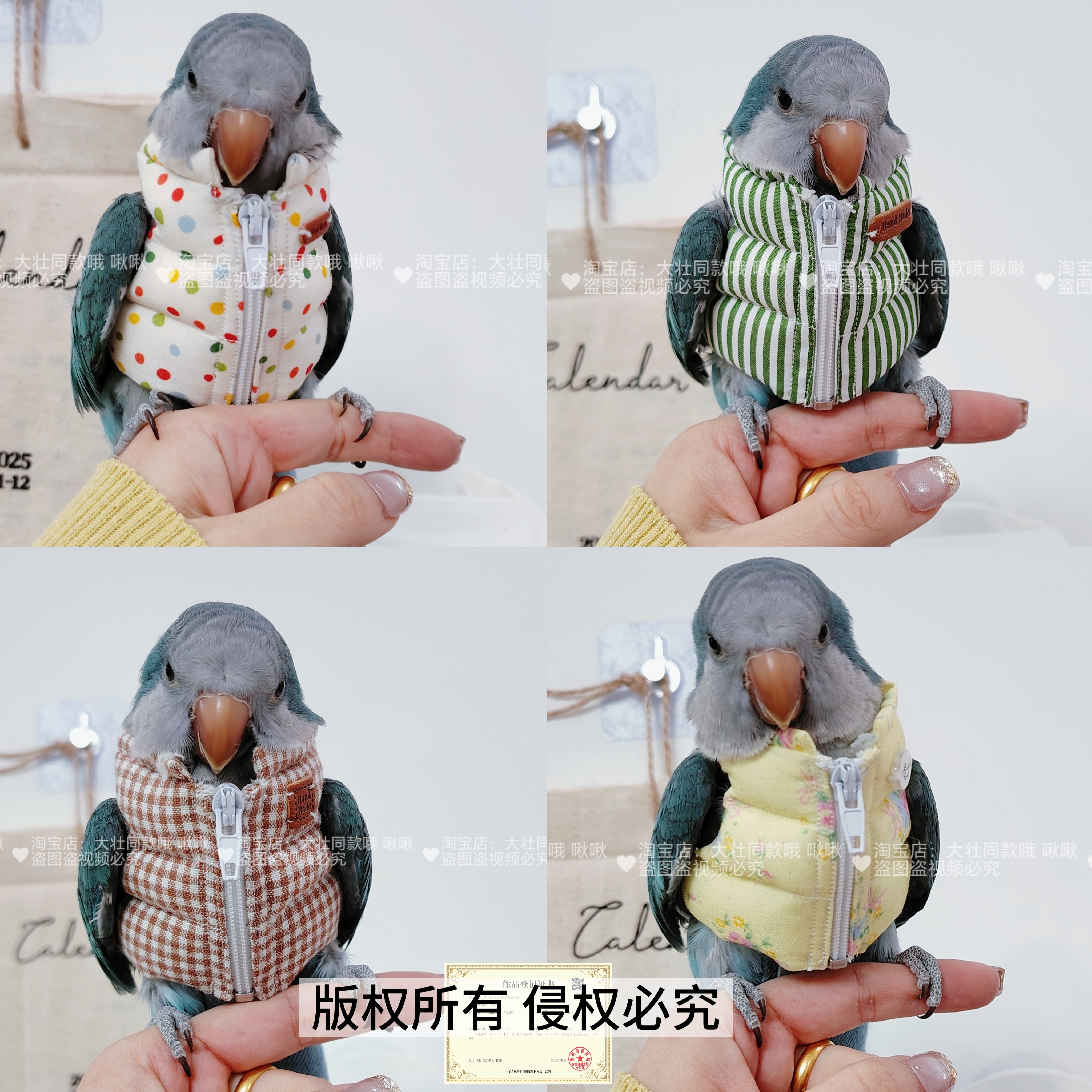 鹦鹉棉服服鸟衣服鹦鹉棉外套玄凤加厚保暖外出服鹦鹉棉马甲鸟用品,宠物/宠物食品及用品,鸟禽服饰,淘宝优惠券,粉丝福利购,淘宝优惠卷