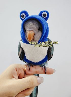 蓝色衣服鹦鹉鸟玄凤秋冬加厚保暖衣服飞行服卫衣帽衫定订制