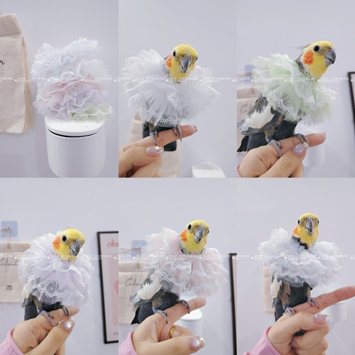 网纱款玄凤鹦鹉伊丽莎白圈受伤保护项圈牡丹防啄毛防咬毛鸟用
