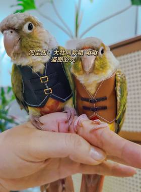虎皮牡丹玄凤鹦鹉鸟衣服小背心皮衣小马甲衣服