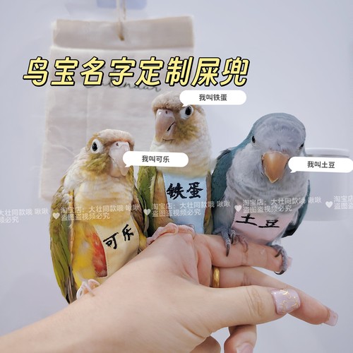 鹦鹉名字定制尿不湿立体款固定肩带可调节大容量屎兜尿裤玄凤牡丹