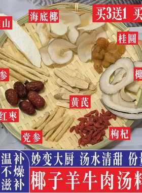 椰子羊肉汤料包滋补煲汤料驴牛肉火锅汤底材料海椰皇孕妇炖鸡汤料