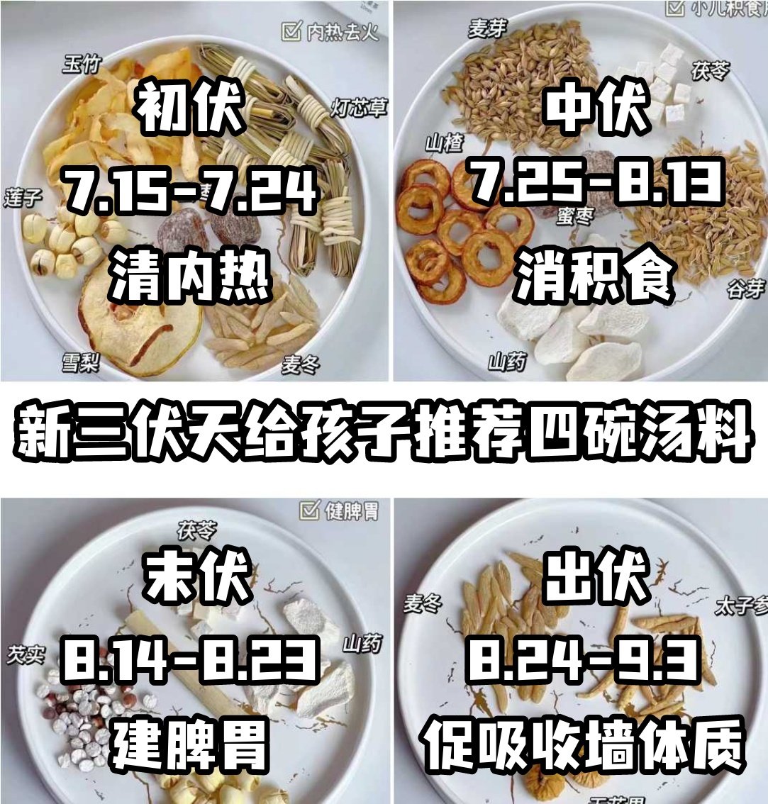 三伏天儿童消积食建脾胃汤包成长汤祛湿灯芯草麦冬太子参煲汤材料