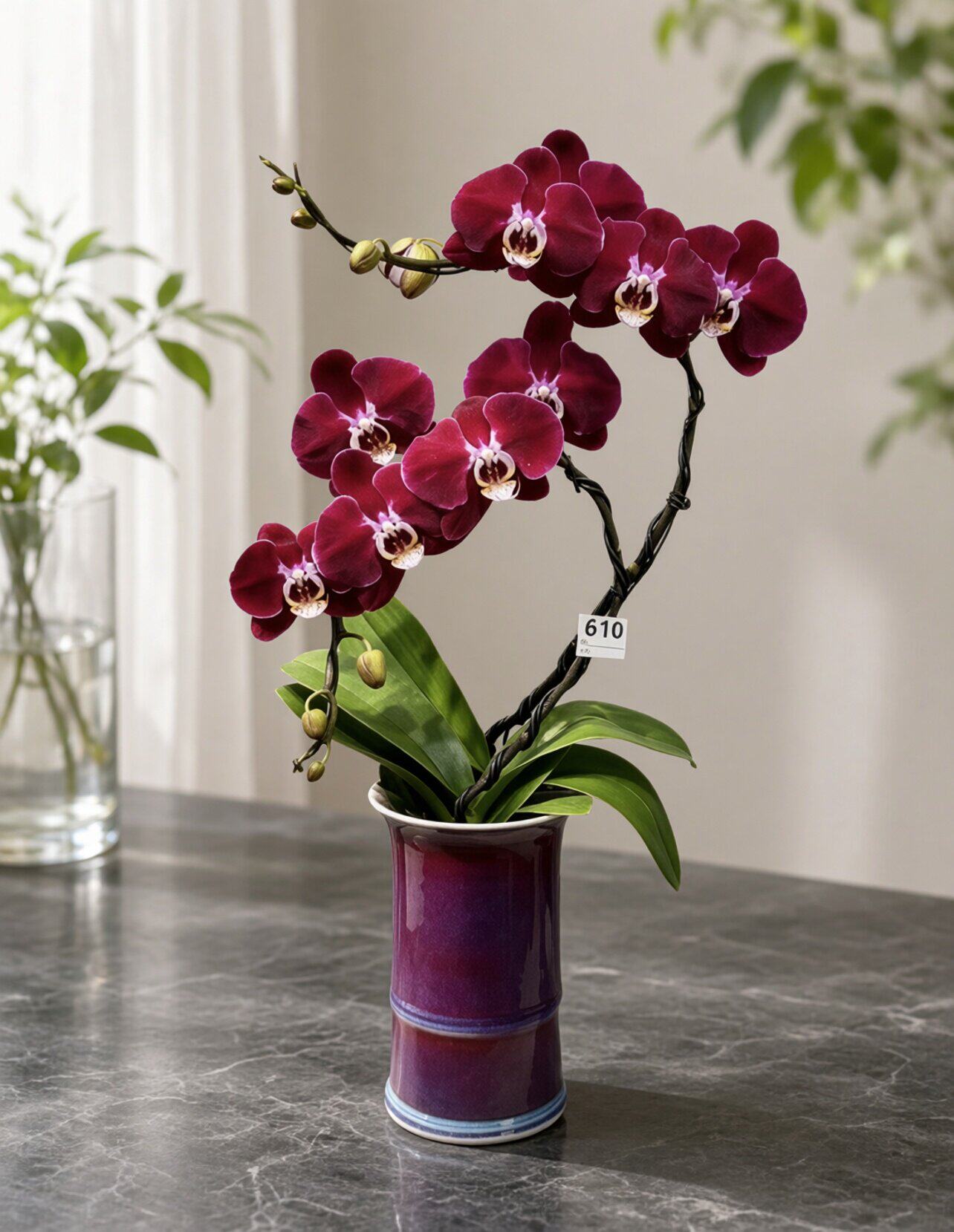 宋代美学复古郎红陶瓷花瓶轻奢高级感花器水培绿植鲜花蝴蝶兰装饰