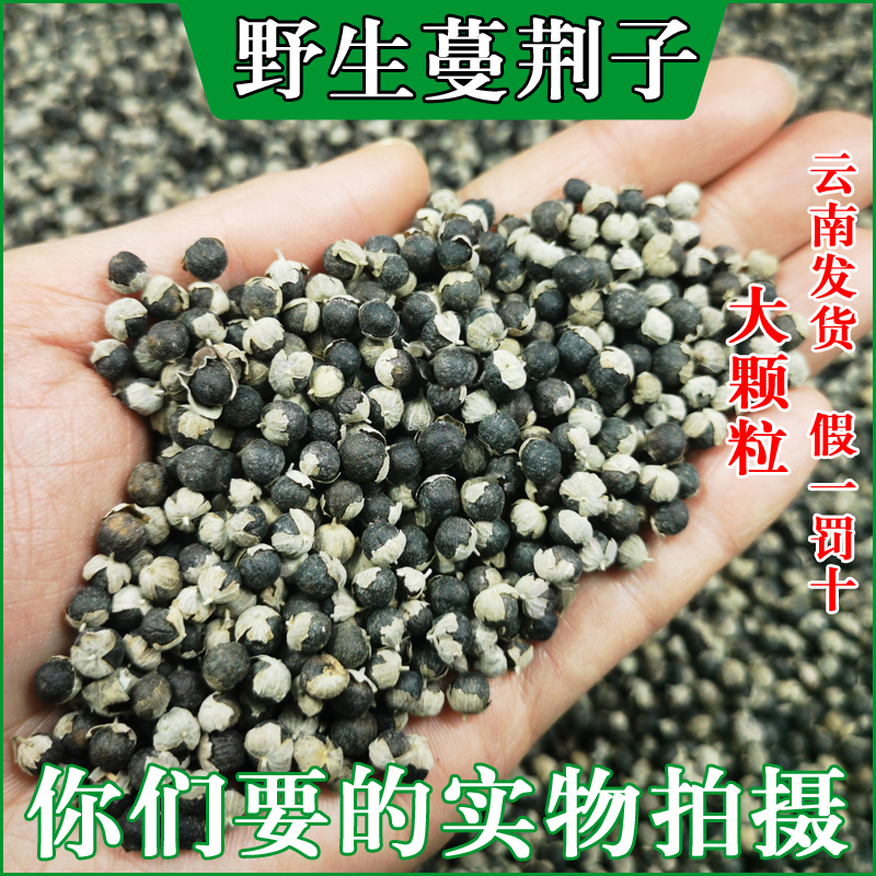 云南野生中药材蔓荆子蔓京子