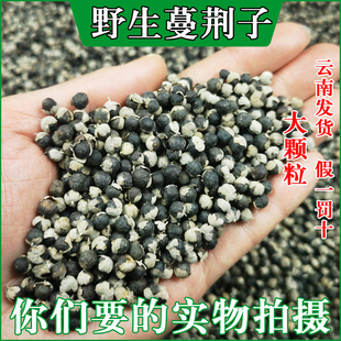 云南蔓荆子 蔓荆实 荆子万荆子 蔓青子 野生中药材 蔓京子 蔓菁子