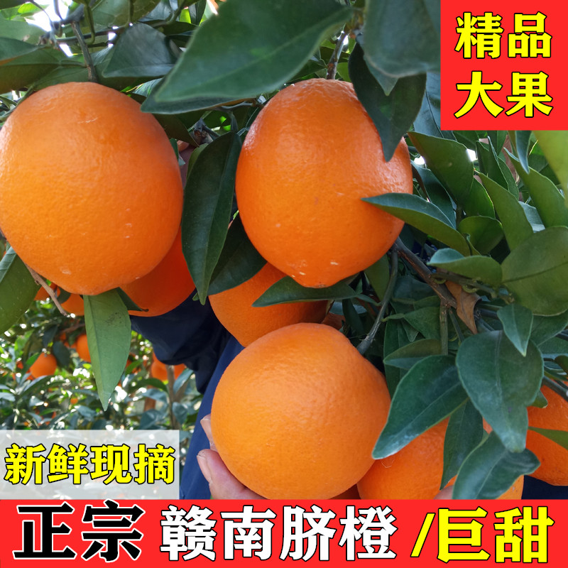 江西赣南脐橙当季新鲜孕妇水果正宗农家橙子橙汁现摘现发包邮,水产肉类/新鲜蔬果/熟食,橙,淘宝优惠券,粉丝福利购,淘宝优惠卷