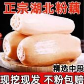 正宗湖北莲藕新鲜嫩藕洪湖藕尖脆藕片煲汤炖汤粉糯九孔藕生吃现挖
