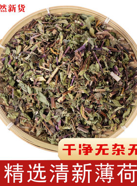 天然清凉薄荷中药材可泡水