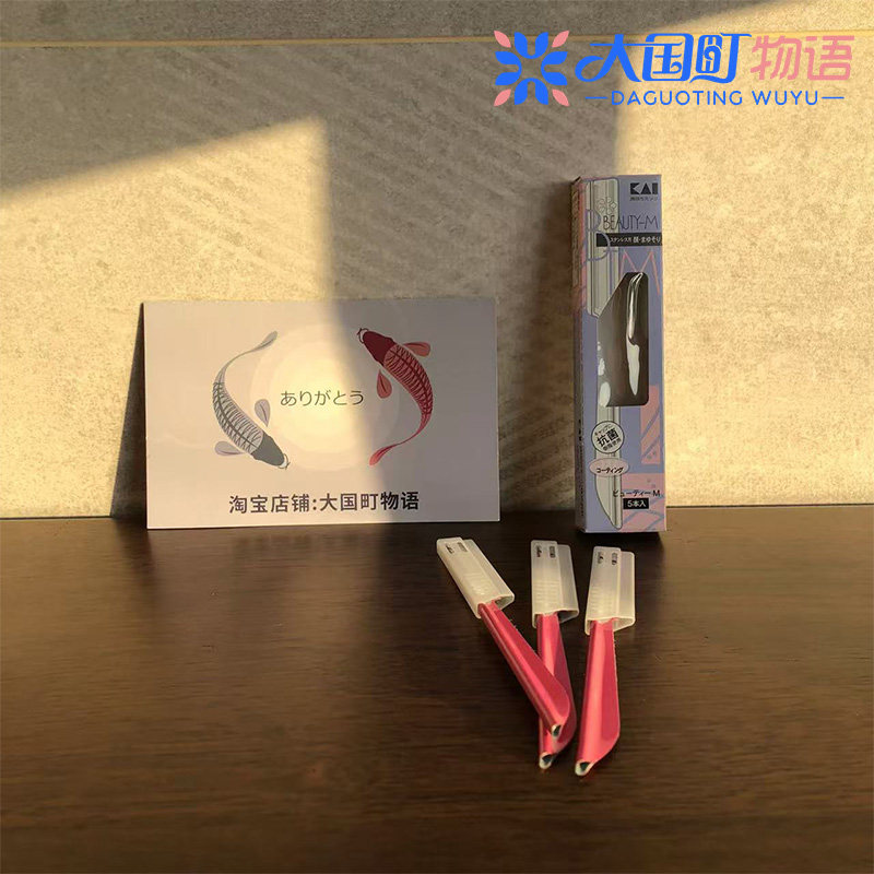 现货 贝印修眉刀 脸部和眉毛用 不锈钢刀片 双层抗菌树脂盖子5把图片